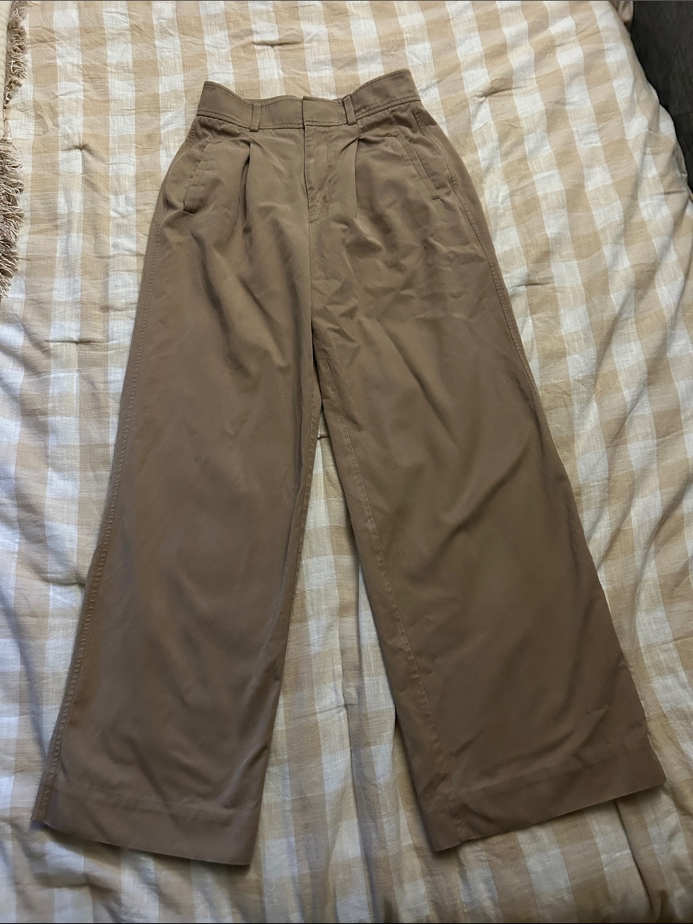 Everlane Wide Leg Pants in Tan - Classic Pleated Trousers